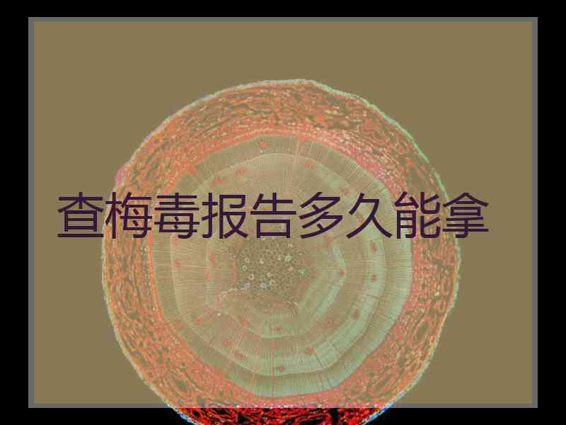 查梅毒报告多久能拿