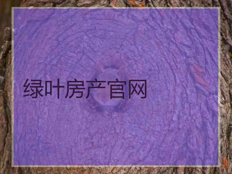 绿叶房产官网