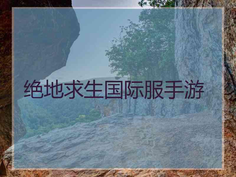 绝地求生国际服手游