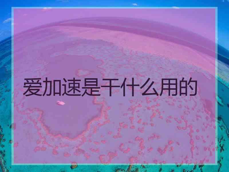 爱加速是干什么用的