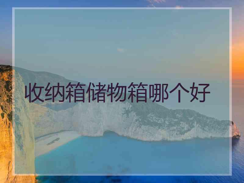 收纳箱储物箱哪个好