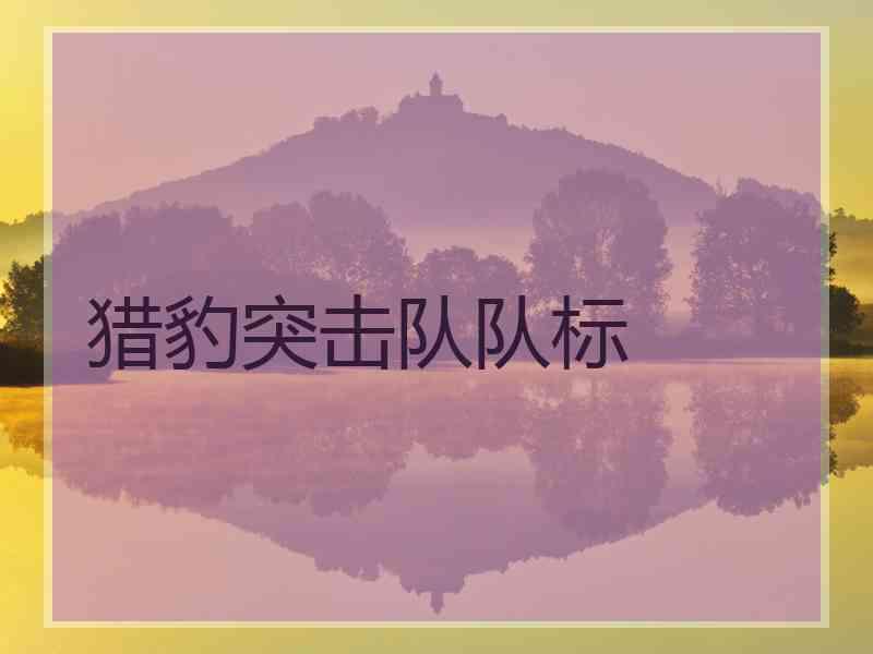 猎豹突击队队标