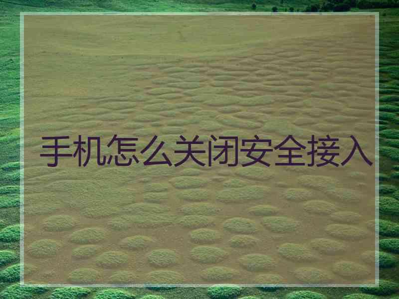手机怎么关闭安全接入