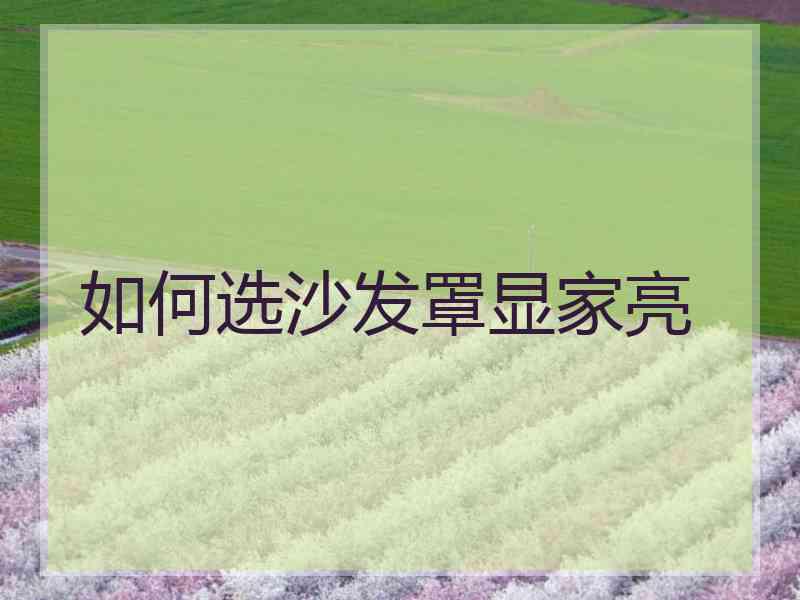 如何选沙发罩显家亮