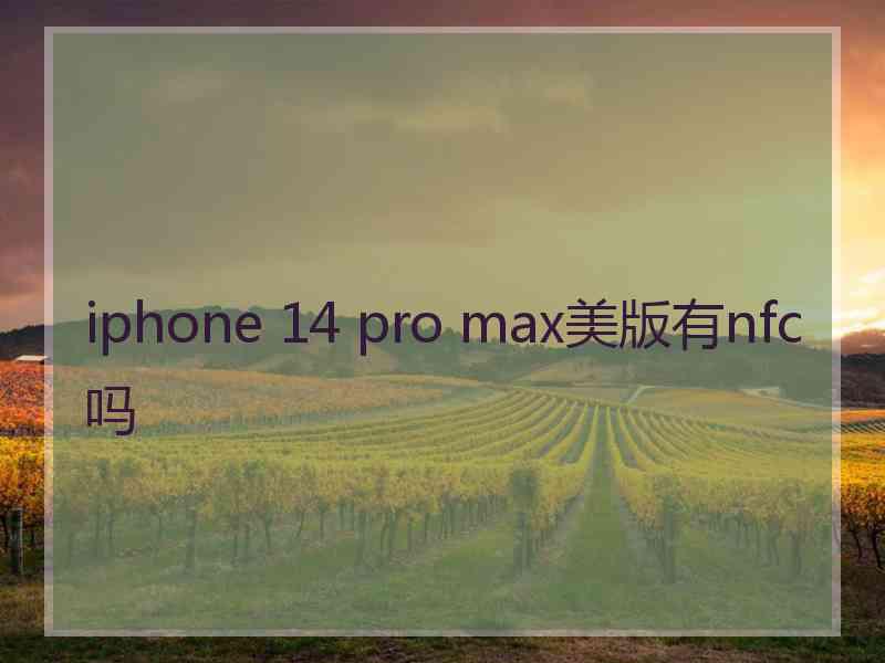 iphone 14 pro max美版有nfc吗