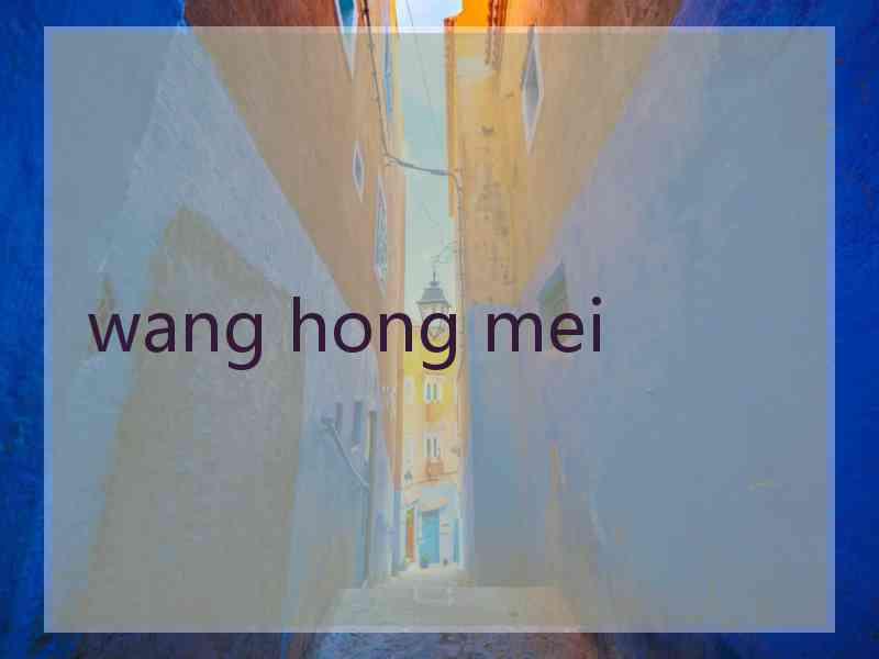 wang hong mei