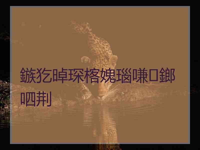 鏃犵晫琛楁媿瑙嗛鎯呬荆
