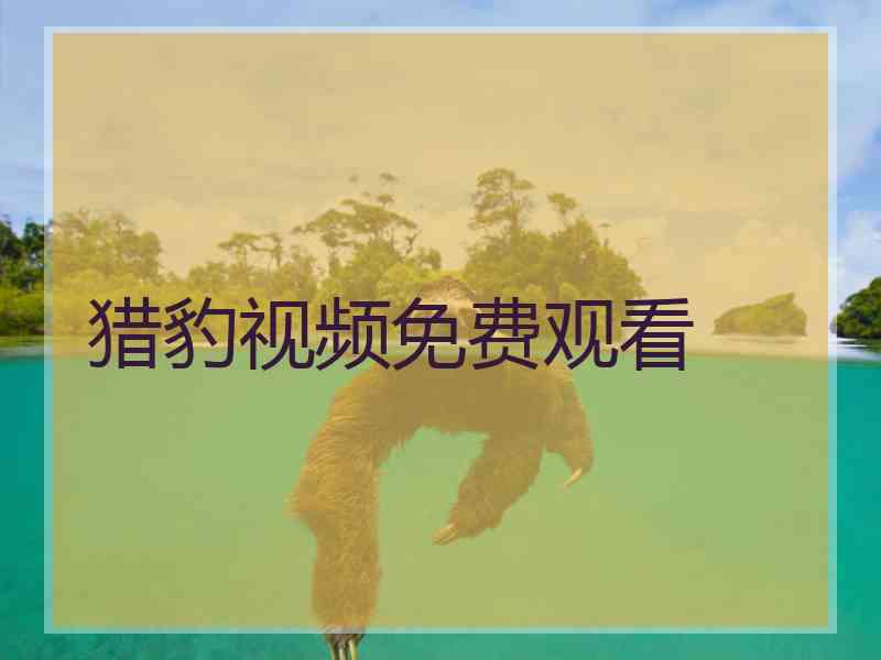 猎豹视频免费观看