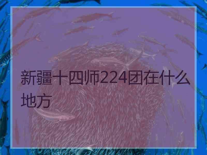新疆十四师224团在什么地方