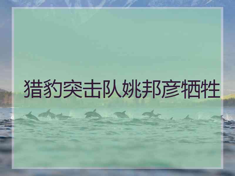猎豹突击队姚邦彦牺牲