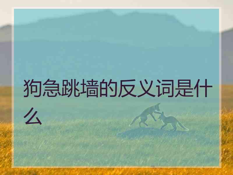 狗急跳墙的反义词是什么