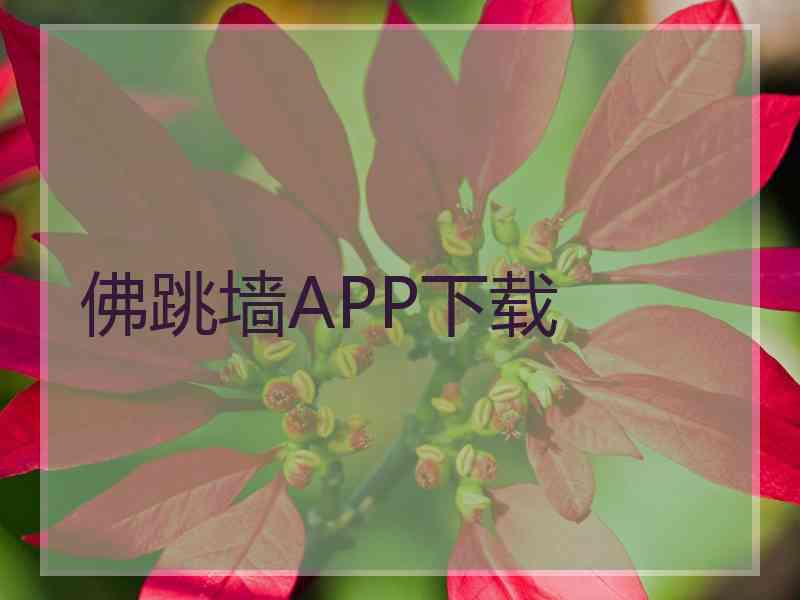 佛跳墙APP下载