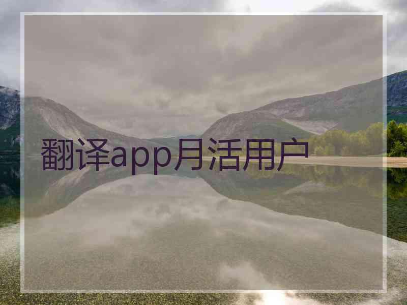 翻译app月活用户
