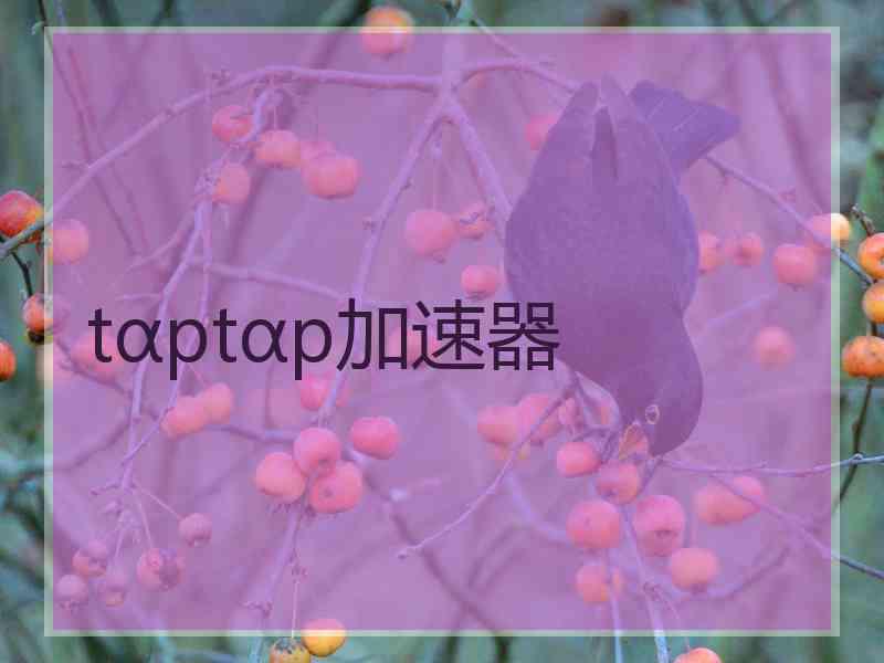 tαptαp加速器