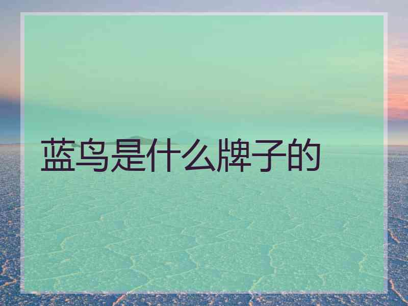 蓝鸟是什么牌子的