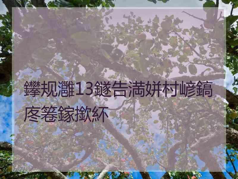 鑻规灉13鐩告満姘村嵃鎬庝箞鎵撳紑