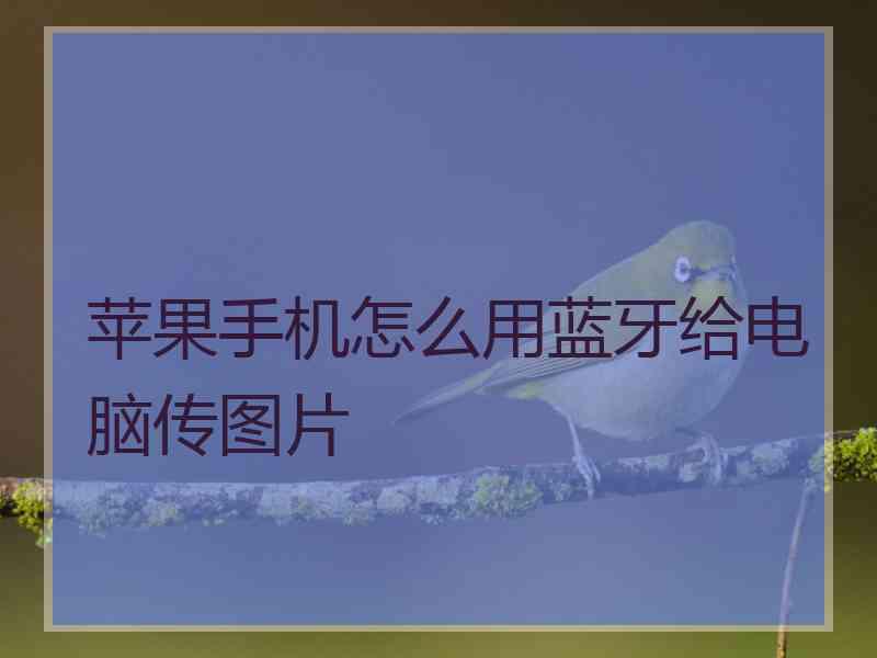 苹果手机怎么用蓝牙给电脑传图片