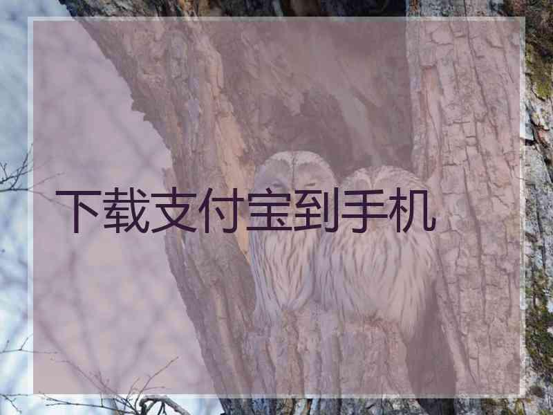 下载支付宝到手机