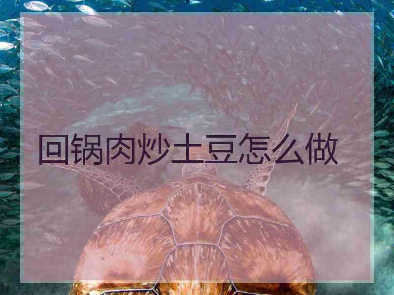 回锅肉炒土豆怎么做