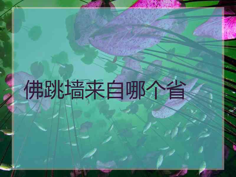 佛跳墙来自哪个省
