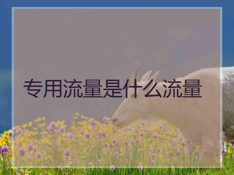专用流量是什么流量