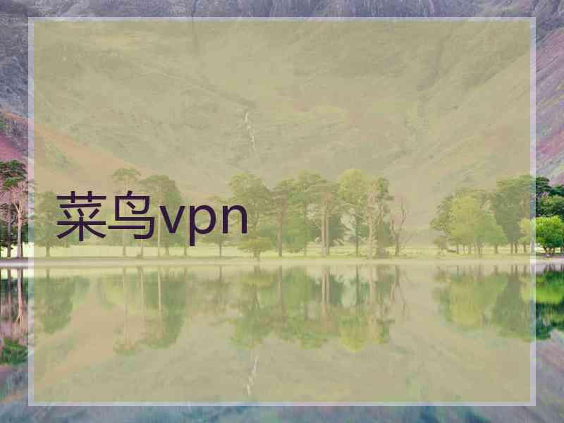 菜鸟vpn
