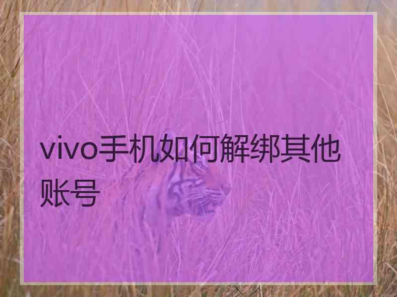 vivo手机如何解绑其他账号