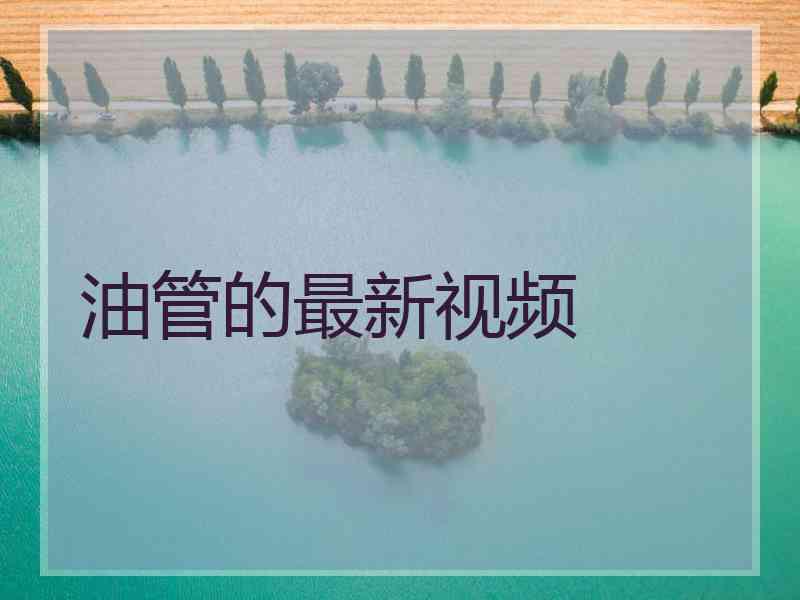 油管的最新视频
