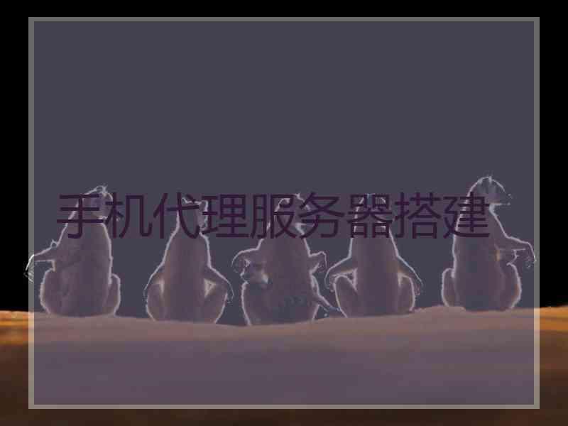 手机代理服务器搭建