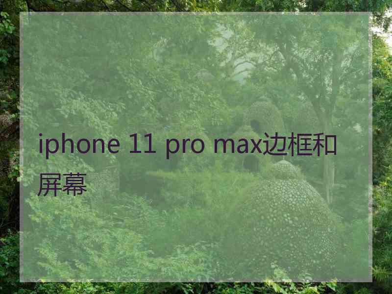 iphone 11 pro max边框和屏幕