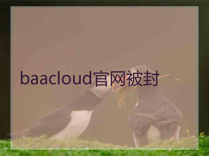 baacloud官网被封