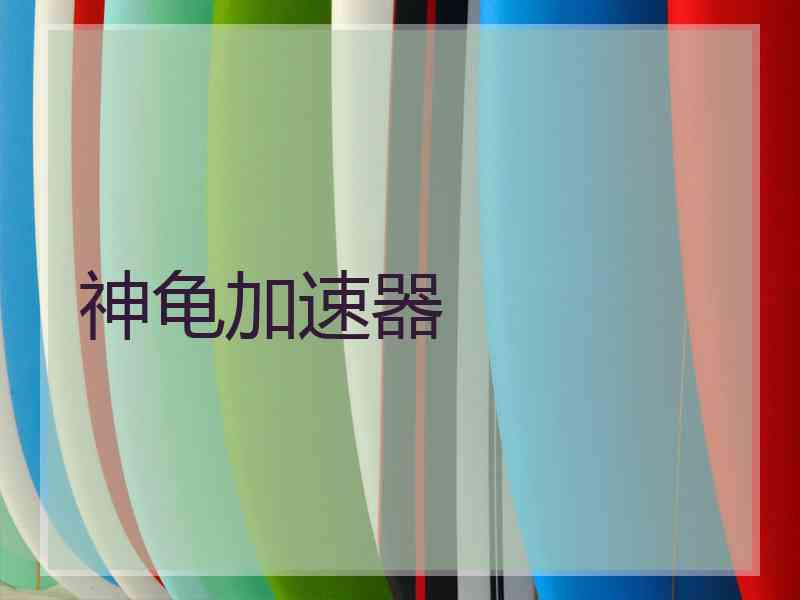 神龟加速器