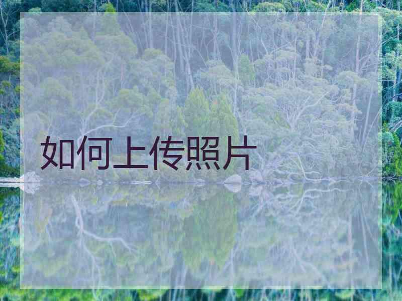 如何上传照片