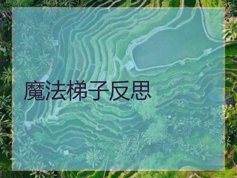 魔法梯子反思
