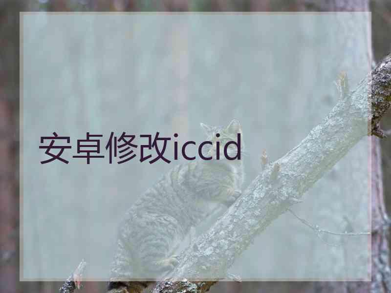 安卓修改iccid