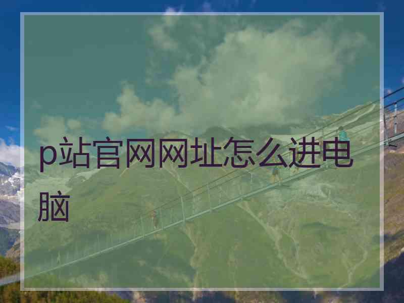 p站官网网址怎么进电脑