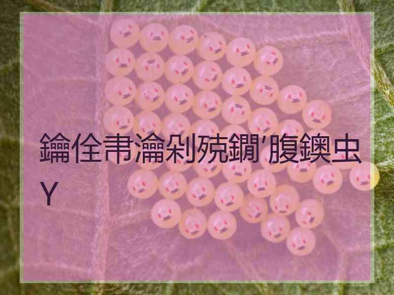 鑰佺帇瀹剁殑鐗′腹鐭虫Υ