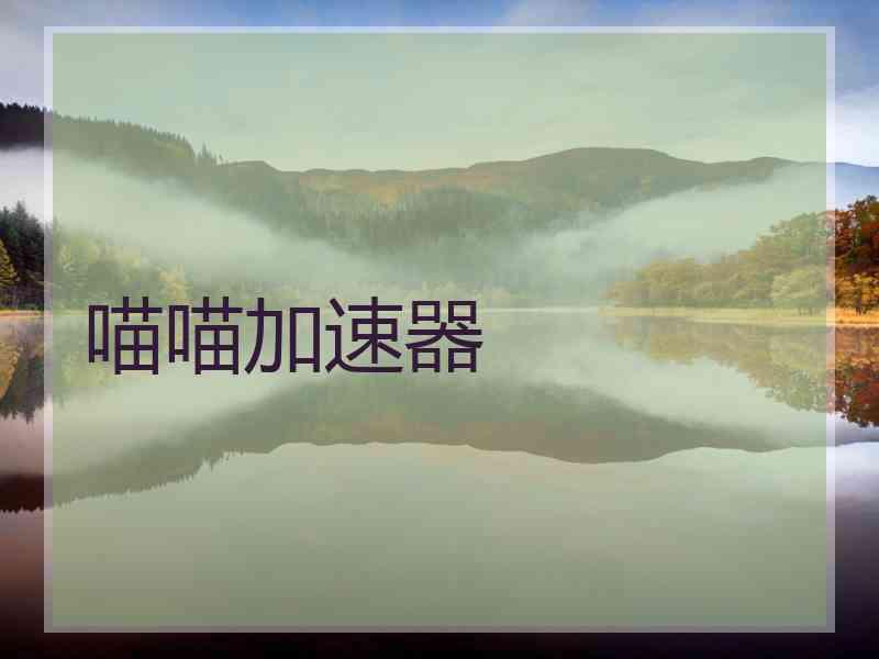 喵喵加速器