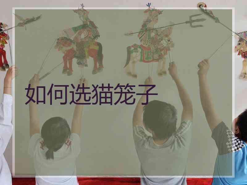 如何选猫笼子