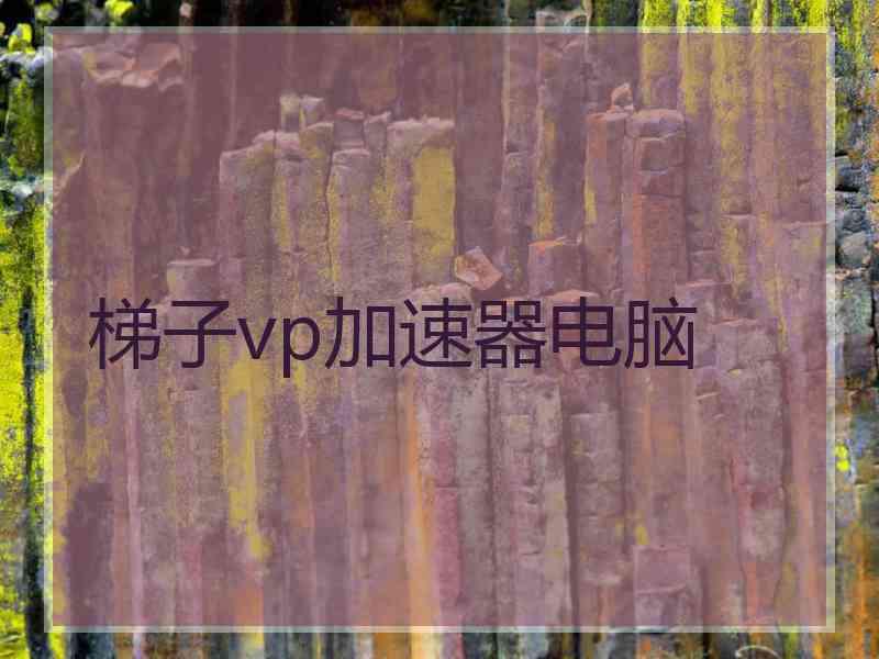 梯子vp加速器电脑