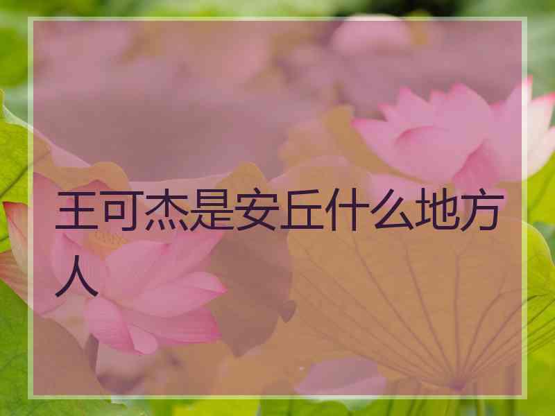 王可杰是安丘什么地方人