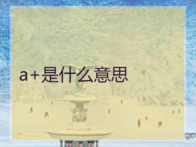 a+是什么意思