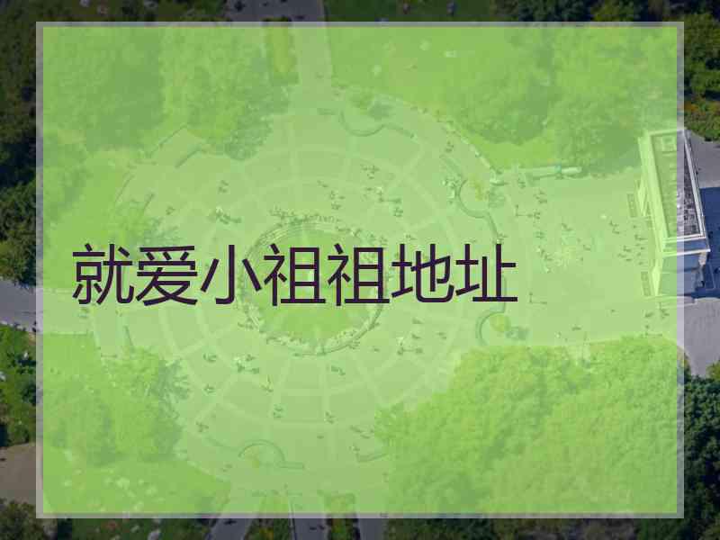 就爱小祖祖地址