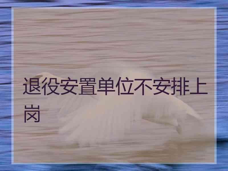 退役安置单位不安排上岗