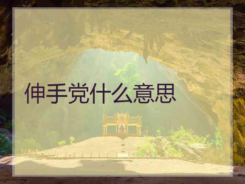 伸手党什么意思