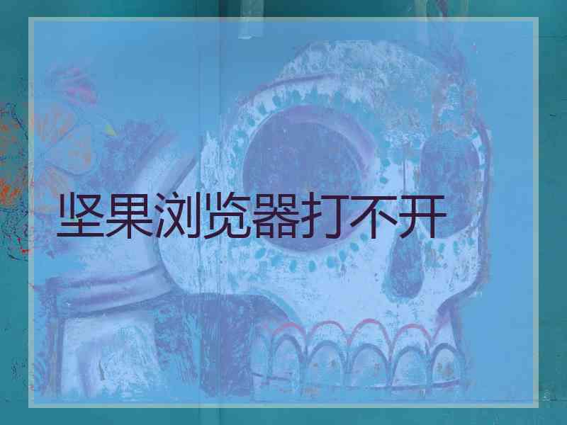 坚果浏览器打不开