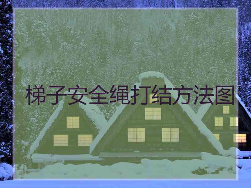 梯子安全绳打结方法图