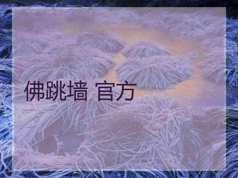 佛跳墙 官方