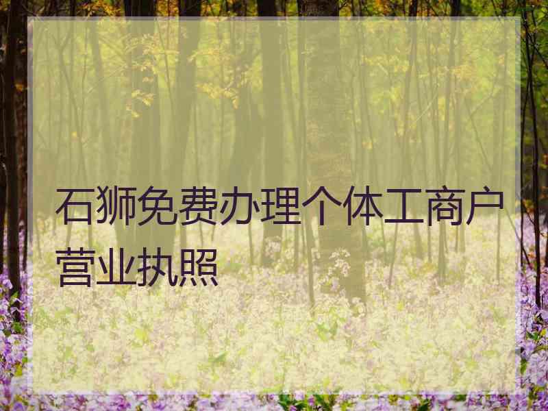 石狮免费办理个体工商户营业执照