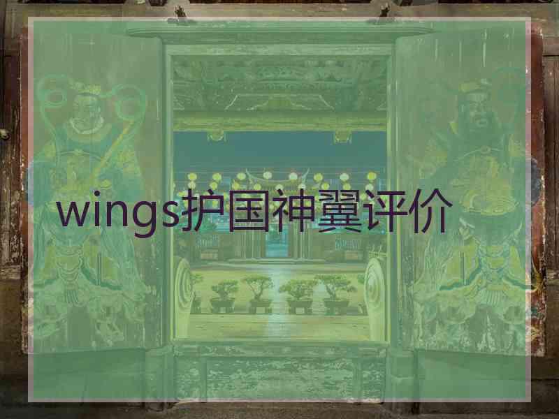 wings护国神翼评价